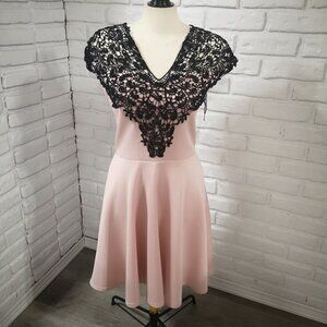 NWT Scarlet B Dorothy Perkins Ladies Size 14 Blush & Black Fit & Flare Dress